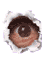 Bonhart