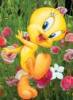 *Tweety*