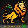 bolksTV