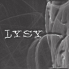 lysy253