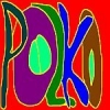 polko15